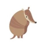 picture of comic armadillo